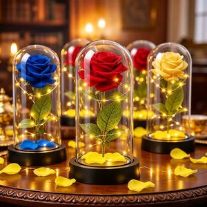 La <span class=keywords><strong>Bella</strong></span> <span class=keywords><strong>y</strong></span> la <span class=keywords><strong>Bestia</strong></span>, Rosa Preservada en Cúpula de Cristal, Luz Nocturna LED, Rosa Eterna, Regalo de San Valentín, Boda <span class=keywords><strong>y</strong></span> <span class=keywords><strong>Navidad</strong></span>, Decoración - Product Image 1