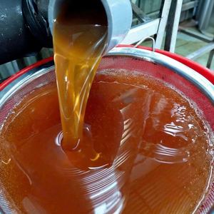 Miel del Delta de Vietnam en Botella con Colador, Miel Líquida Natural Cruda Fresca de la Cosecha del Colmena, 1 kg //NICKY - Product Image 1