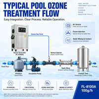 Ozongenerator mit Venturi-Injektor und Statischem Mischer für Schwimmbadwasseraufbereitung Desinfektions- und Reinigungssystem