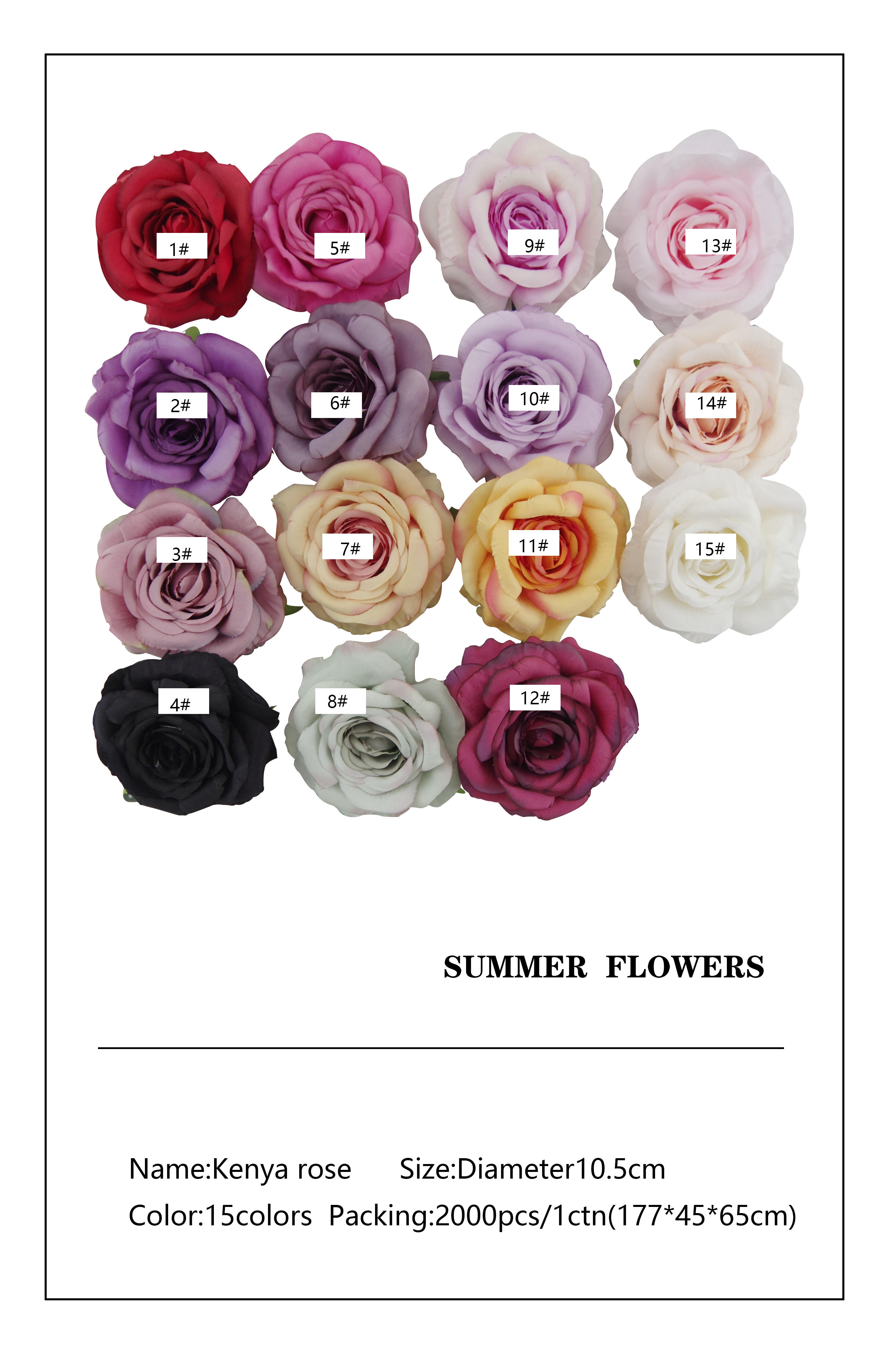 15สีสำหรับตัวเลือกของคุณ