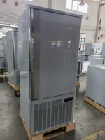 Congélateur-chiller vertical commercial à température unique, 15 plateaux, en acier inoxydable, congélation rapide, dégivrage automatique, refroidissement par air/ventilateur, -40°C