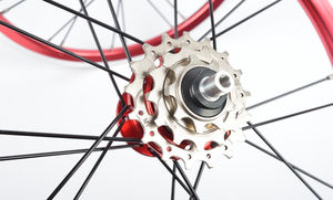 <span class=keywords><strong>Dahon</strong></span> Fnhon-Rueda de <span class=keywords><strong>bicicleta</strong></span> de 3 velocidades, llanta exterior para regalo, 14 pulgadas, 16 pulgadas, 412 plegable - Product Image 6