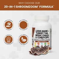 Capsules de mélange de champignons riches en Crinière de lion, Queue de dinde, Chaga et Cordyceps pour le soutien immunitaire, 2 capsules par jour, Durée de conservation de 24 mois
