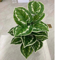 Venta al por Mayor de Planta Artificial Decorativa de Plátano del Viajero en Maceta, 24 Cabezas, Verde, Sin Maceta