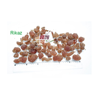 Gomme arabique d'acacia multi-usages de marque Rikaz, provenant directement du Soudan (Afrique), additif alimentaire, supplément, granulométrie moyenne et fine