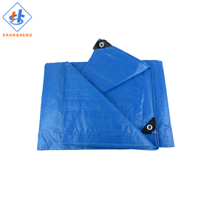 Bâche en PE bleue double couche haute résistance, imperméable et résistante aux UV, 50-300 g/m², pour camion, fournisseur direct d'usine - Product Image 2