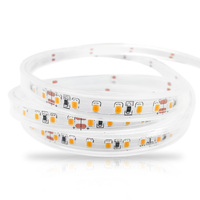 Prix promotionnel usine : Bande LED USB avec carte PCB pour éclairage nocturne SMD2835 120D IP20/65/67/68, découpable, télécommande