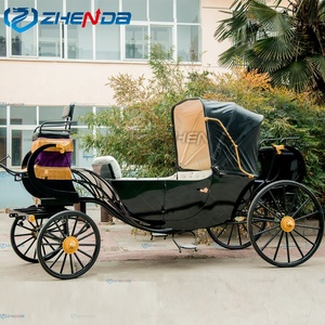 Carruaje de Lujo Personalizado de Doble Fila para Paseos, Configuraciones Confortables, Éxito de Ventas Anual, Se Convierte en un Éxito de Ventas en el Mercado - Product Image 3