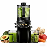 6,14 inch brede invoeropening 250W elektrische sapcentrifuge koudpers slowjuicer machine voor fruit en groenten