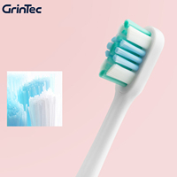 OEM ODM Sonic 4-Mode Rechargeable Etanche Type-C Boîtier en Plastique Brosse à Dents Électrique de Voyage Prêt à Nettoyer Efficace