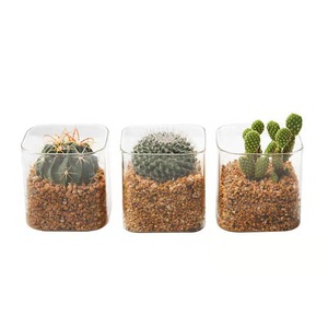 10cm jardinière <span class=keywords><strong>Vase</strong></span> en verre carré Transparent pour plantes vertes succulentes d'intérieur décoration de la maison Pots de fleurs et jardinières pour <span class=keywords><strong>jardin</strong></span> - Product Image 3