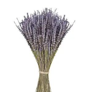 Flores secas de lavanda 270-300 tallos 100% racimos de lavanda seca natural para decoración del hogar, fragancia para el hogar, flujo de jabón hecho a mano