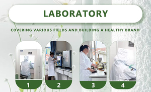 Nâu rong biển tảo tự nhiên <span class=keywords><strong>fucoxanthin</strong></span> 10% 20% Wakame chiết xuất bột - Product Image 3