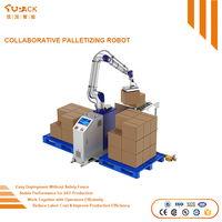 Palettiseur Cobot entièrement automatique avec service OEM et fonction de depalettisation pour l'emballage des produits de première nécessité