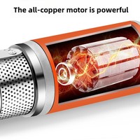 Pompe submersible à grafit sphérique pour arrosage de légumes, alimentée par batterie solaire CC 12V/24V/48V/60V/72V, exclusive transfrontalière
