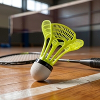Volants de badminton en nylon coupe-vent, lot de 12, vol stable et durable, base en liège solide, excellente performance de vol, entraînement en extérieur, CE ISO9001