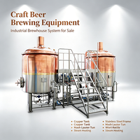 Équipement de brassage de bière à petite échelle 100L-500L, cuve de fermentation, cuve sous pression, contrôle PID, chauffage électrique, brasserie