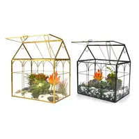 Kit de Terrarium pour orchidées succulentes, Terrarium en verre, or, noir, grande plante avec couvercle