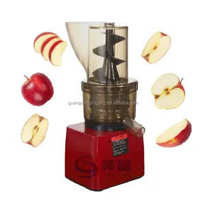 500 W leistungsstarke kommerzielle Maschine für den heimgebrauch großer Mund langsamer Schnelligkeit Kaltpresse frische Apfel und Obst langsame Entsaftermaschine
