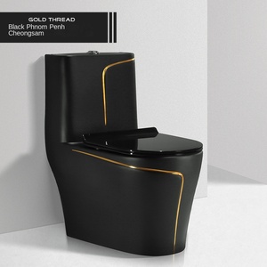 WC monobloc à siphon, grand diamètre, <span class=keywords><strong>noir</strong></span> et doré, sanitaire - Product Image 6