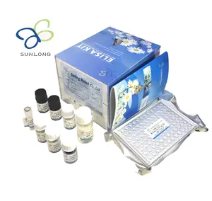 Человеческий ревматоидный фактор антител IgM (RF-IgM)ELISA Kit