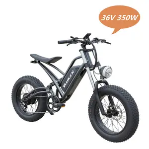 2022 bafang20インチ48V750Wバイク/ファットバイクギア自転車、LEDファットバイク/ファットタイヤ電動マウンテンバイク、電動自転車