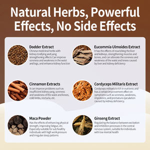 Mannelijke nierondersteunende energiecapsule Uithoudingsvermogen en langdurige prestaties Natuurlijke kruiden verhogen het aantal spermatozoïden en de gezondheid van de prostaat - Product Image 4