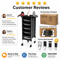 Organisateur d'outils professionnel pour salon de coiffure, station multi-niveaux, support pour équipement de coiffeur, support pour outils de coiffage pour salon de beauté