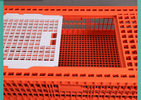 Cage de transfert durable pour le transport de volaille, de poulet, de canard et d'oie