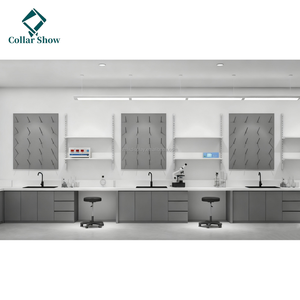 맞춤형 실험실 작업대 연구 장비 디스플레이 캐비닛 병원 연구실 디자인 시약 선반 - Product Image 1