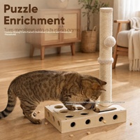 Jouet interactif pour chat en bois massif, avec circuit de billes sur pied, griffoir vertical et boîte de jeu labyrinthe
