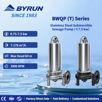 Pompe submersible pour eaux usées en acier inoxydable BYRUN BWQP(T) avec accouplement, classe IP68 F, pour applications municipales, industrielles, hospitalières, bâtiments et hôtels