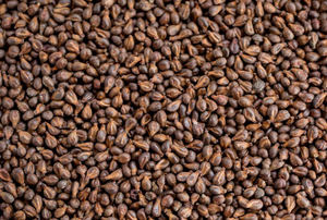 Pengiriman cepat ekstrak biji anggur kelas makanan 95% <span class=keywords><strong>Grapeseed</strong></span> <span class=keywords><strong>Softgel</strong></span> kapsul ekstrak biji anggur - Product Image 2