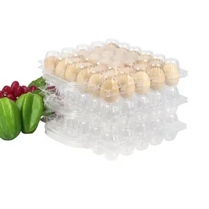 50 boîtes à œufs réutilisables, vente en gros, extracteur d'œufs de dinde, plastique
