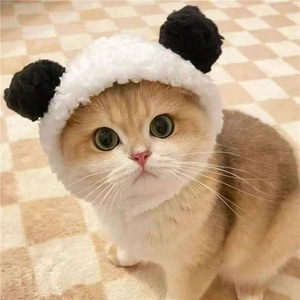 Cappelli per Animali Domestici in Peluche, Divertenti Copricapo per Gatti, Accessori per Cani, Abbigliamento all'Ingrosso - Product Image 3
