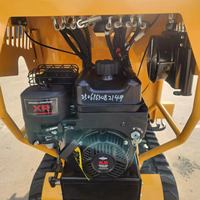Livraison Gratuite - Mini Chargeuse Compacte sur Chenilles pour Travaux de Construction avec Moteur Euro5/EPA pour Utilisation en Jardin