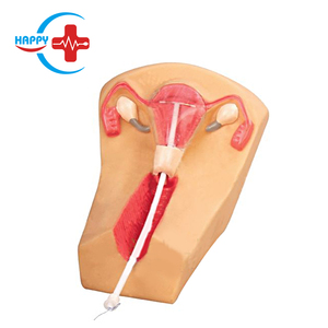 HC-S317 anticonceptivos de la mujer modelo intrauterinos anticonceptivos y modelo de formación/dispositivo intrauterino modelo - Product Image 2