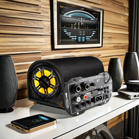 Caisson de basses actif SF5 220V personnalisable pour karaoké à domicile, double microphone, récepteurs radio FM et amplificateurs