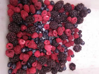 Iqf Bevroren Gemengde Bessen Met Aardbei Frambozen Bramen Bosbessen In Bulk 100% Fruit Premium Kwaliteit Oorsprong China
