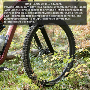 Bicicleta de Montaña de Suspensión Completa de Carbono de 29 Pulgadas, 12 Velocidades, Enduro MTB, Suspensión de Aire, Freno de Disco Hidráulico - Product Image 6