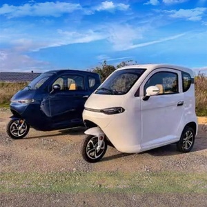 Tricycle électrique adulte fermé à toit, norme européenne EEC, pour passagers - Product Image 2