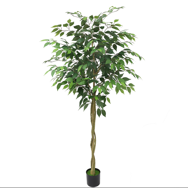 Green160cm