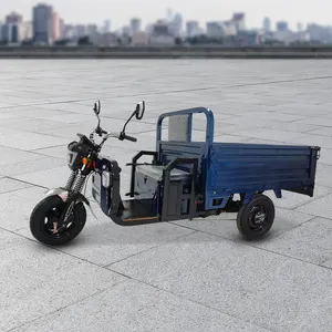 Triciclo elétrico 2024 de boa qualidade, triciclo de venda quente para carga fabricado na China