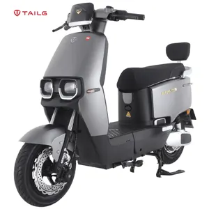 2023 tailg รถมอเตอร์ไซค์ไฟฟ้า100กม. 150CC สกู๊ตเตอร์ไฟฟ้าสำหรับเดินทางระยะทางไกล