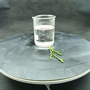 Additif d'huile anti-friction liquide blanc pur paraffine chlorée 52 prix de la paraffine chlorée ignifuge - Product Image 3