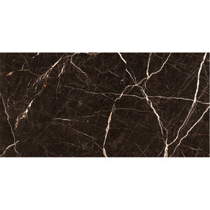 Piastrella <span class=keywords><strong>in</strong></span> Porcellana Lucida Marrone 60x120cm (24x48 pollici) Design Moderno, Lastra Quadrata Lucida per Pavimenti Interni - Product Image 1