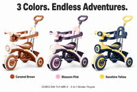 Tricycle 3 roues pour enfant de 2 à 4 ans, tricycle bébé 3 en 1, poussette vélo, tricycle enfant de haute qualité