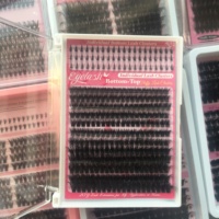 Extensions de cils en éventail pré-faites 5D en gros, cils en éventail fermés, pointes, pleine floraison, cils en volume 5D