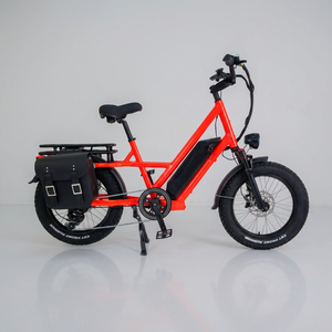 Vélo <span class=keywords><strong>cargo</strong></span> électrique à pneus larges <span class=keywords><strong>de</strong></span> 20 pouces, 48V 500W, capacité <span class=keywords><strong>de</strong></span> charge <span class=keywords><strong>de</strong></span> 200 kg, livraison sur le dernier kilomètre, vélo électrique - Product Image 1