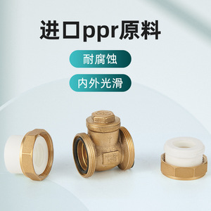 Vanne de refoulement horizontale à fusion thermique 20PPR à double union, vanne anti-retour 25 mm pour tuyaux d'eau, 32 mm en cuivre, 4/6 points pour fluides huileux - Product Image 2